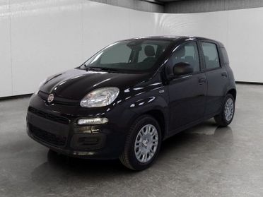FIAT Pandina 1.0 firefly hybrid Icon s&s 70cv 5p.ti