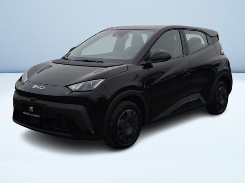 BYD Dolphin Surf Active