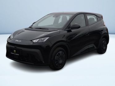 BYD Dolphin Surf Active