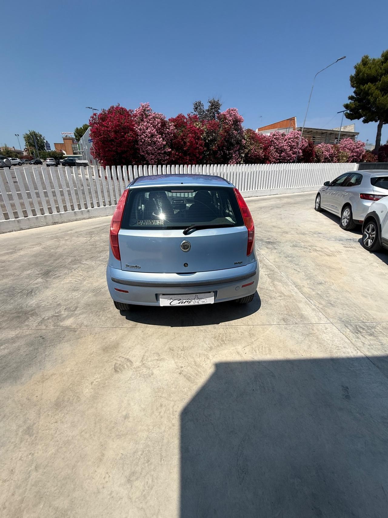 Fiat Punto 1.3 Multijet 16V 5 porte Dynamic