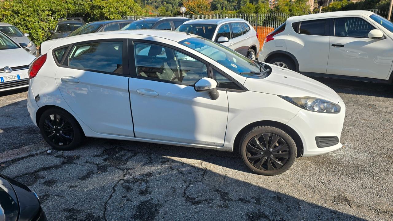 Ford Fiesta 1.5 TDCi 75CV 5 porte Black & White Edition