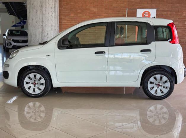 FIAT Panda Easy - 1.2 Benz. 69 cv EURO6D