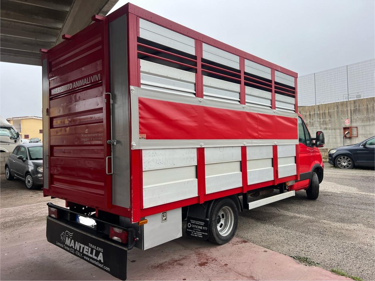 Iveco daily 35.15 Trasporto animali vivi patente B Finanziabilr