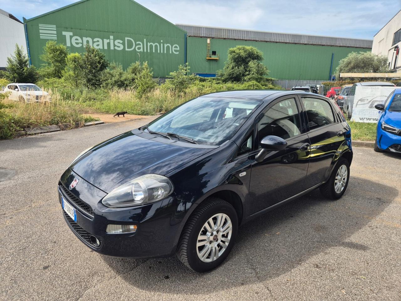 Fiat Punto 1.4 8V 5 porte Natural Power Street