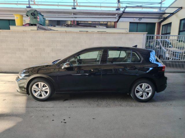 VOLKSWAGEN Golf 2.0 TDI 115 CV SCR Life PREZZO REALE-NEOPATENTATI