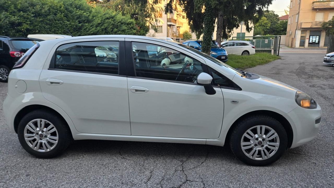 Fiat Punto 1.2 8V 5 porte Street Ok Neopatentati