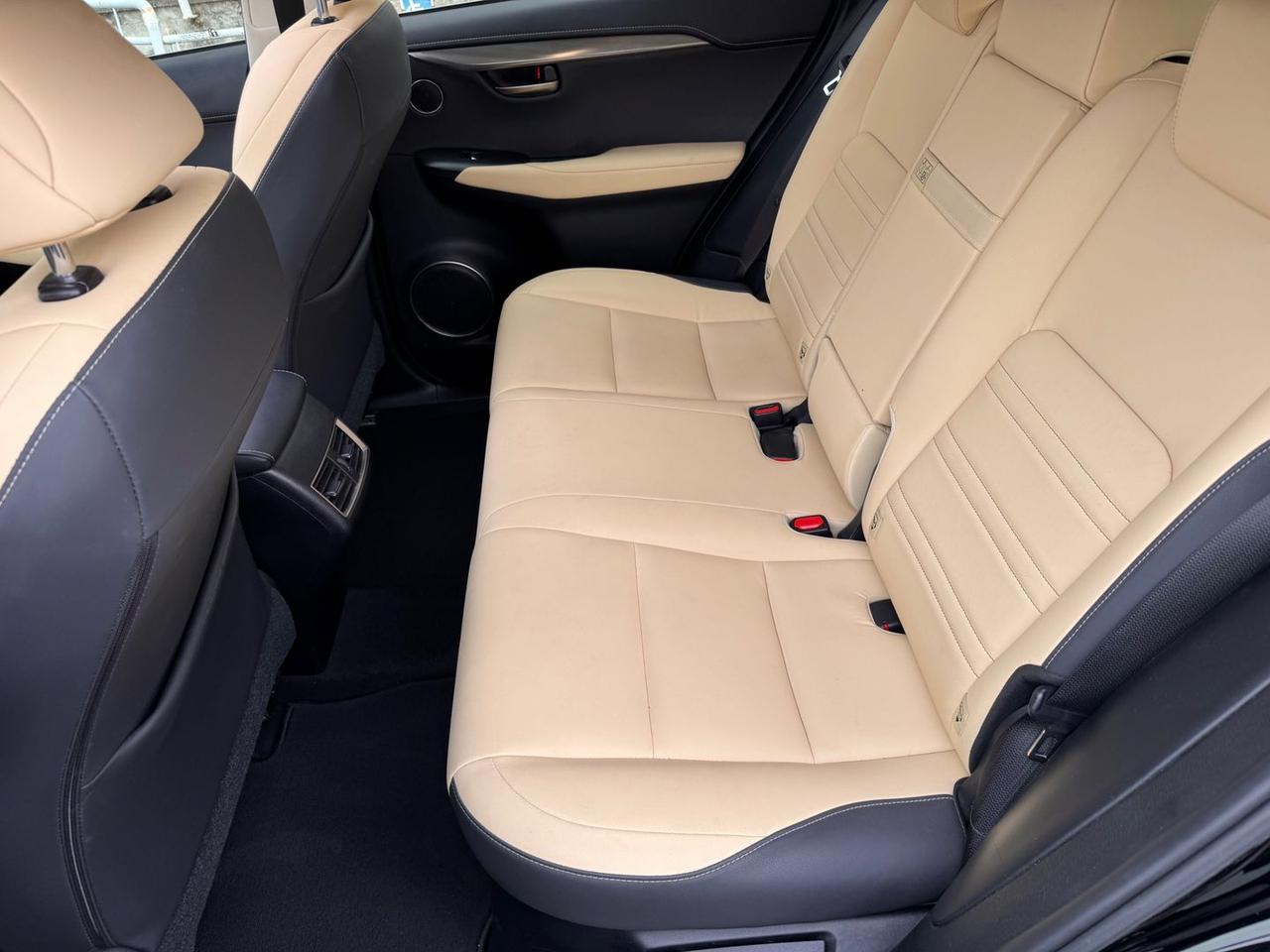 Lexus NX 300h Luxury NX 300h HEV #12039