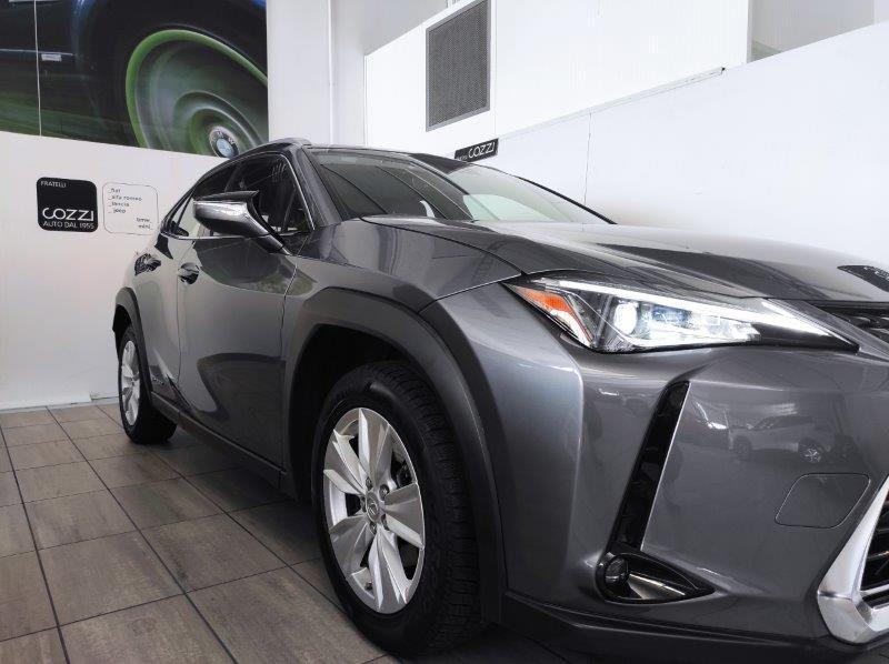 LEXUS UX - UX Hybrid Business