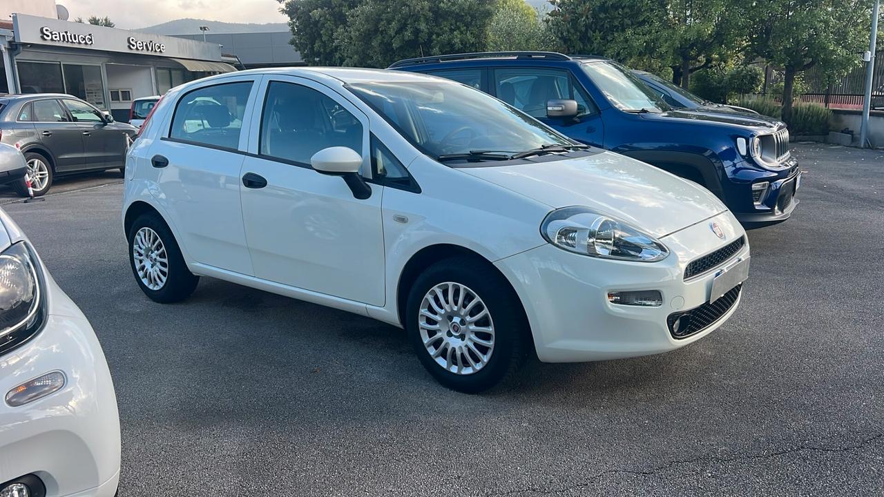 Fiat Punto 1.2 8V 5 porte Street NEOPATENTATI