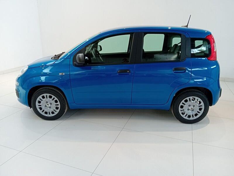 FIAT Panda Panda 1.0 FireFly S&S Hybrid