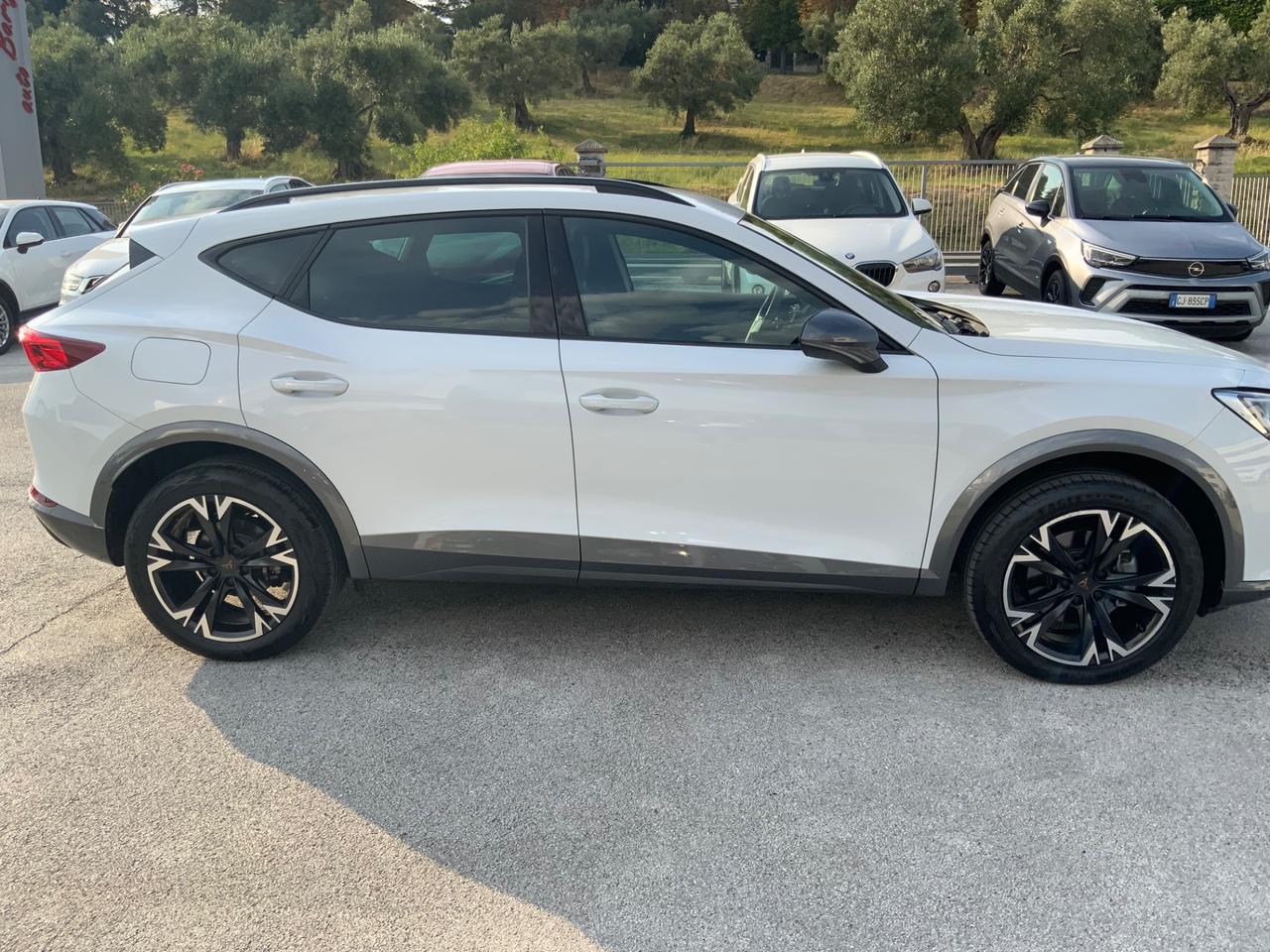 Cupra Formentor 2.0 TDI 4Drive DSG