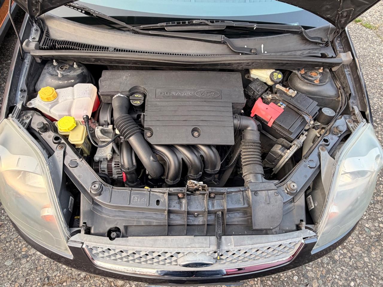 Ford Fiesta 1.2 Benz 5p. Ghia 2008