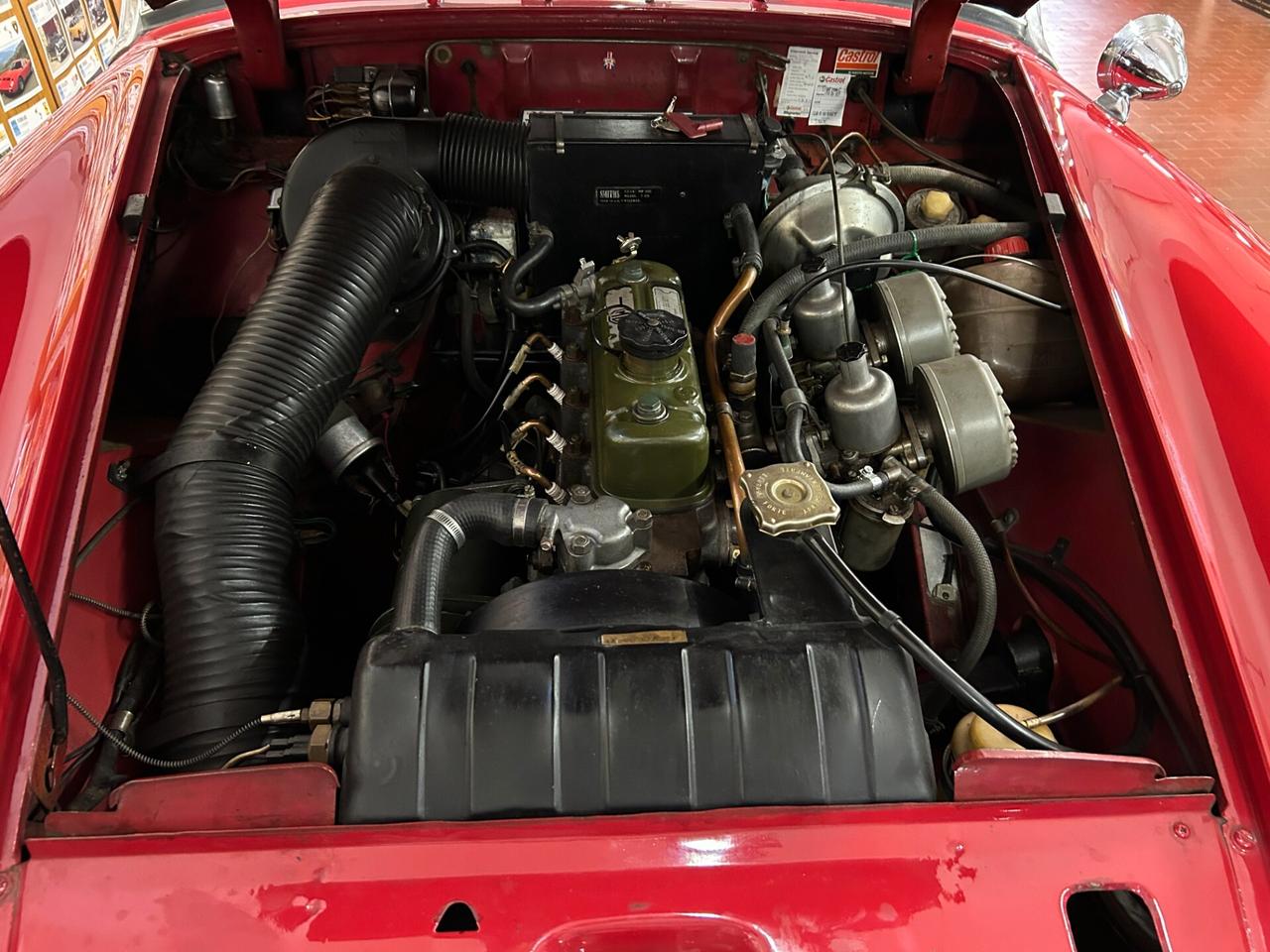 Mg Midget MK 3 TARGA ORO* 1967