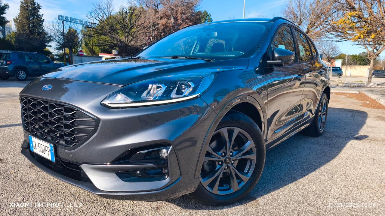 Ford Kuga 1.5 EcoBlue 120 CV aut. 2WD ST-Line 2022