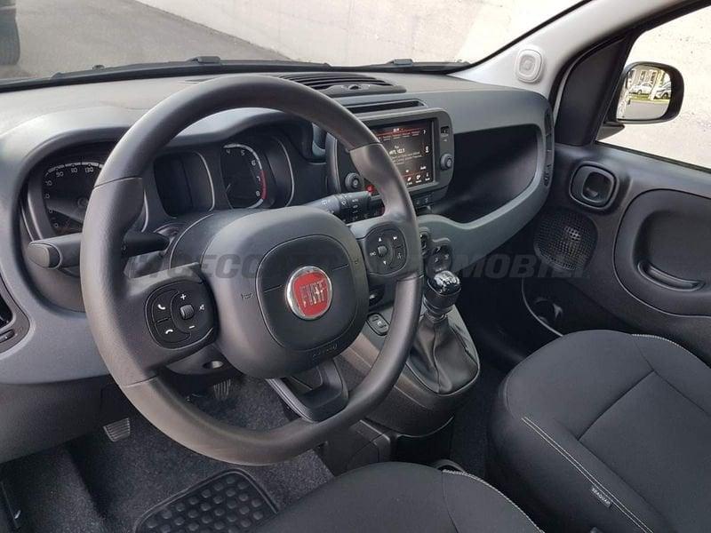 FIAT Panda Cross Panda 1.0 firefly hybrid Cross s&s 70cv 5p.ti