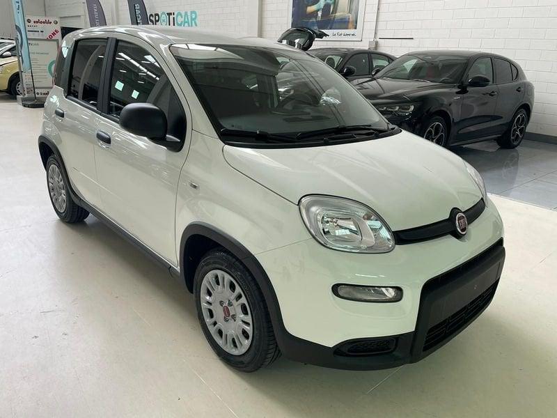 FIAT Panda 1.0 S&S Hybrid Van 2 posti PRONTA CONSEGNA