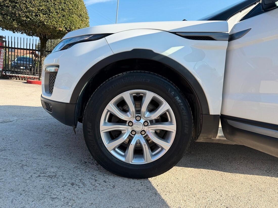 Land Rover Range Evoque 2.0 TD4 150 CV 5p. Business Edition SE