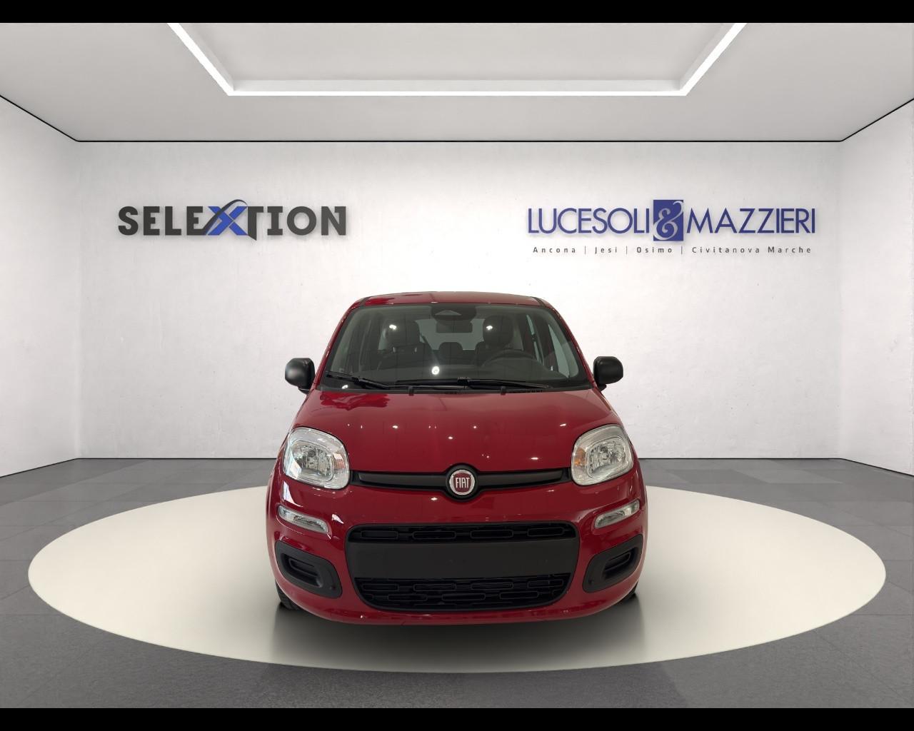 FIAT Panda 3ª serie - Panda 1.0 FireFly S&S Hybrid