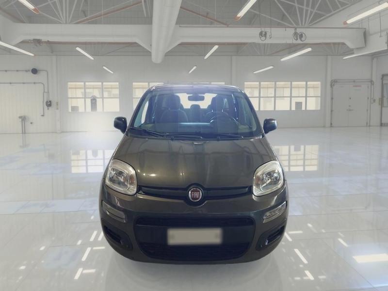FIAT PANDA 1.0 FireFly 70cv S/S Hybrid 5 PORTE