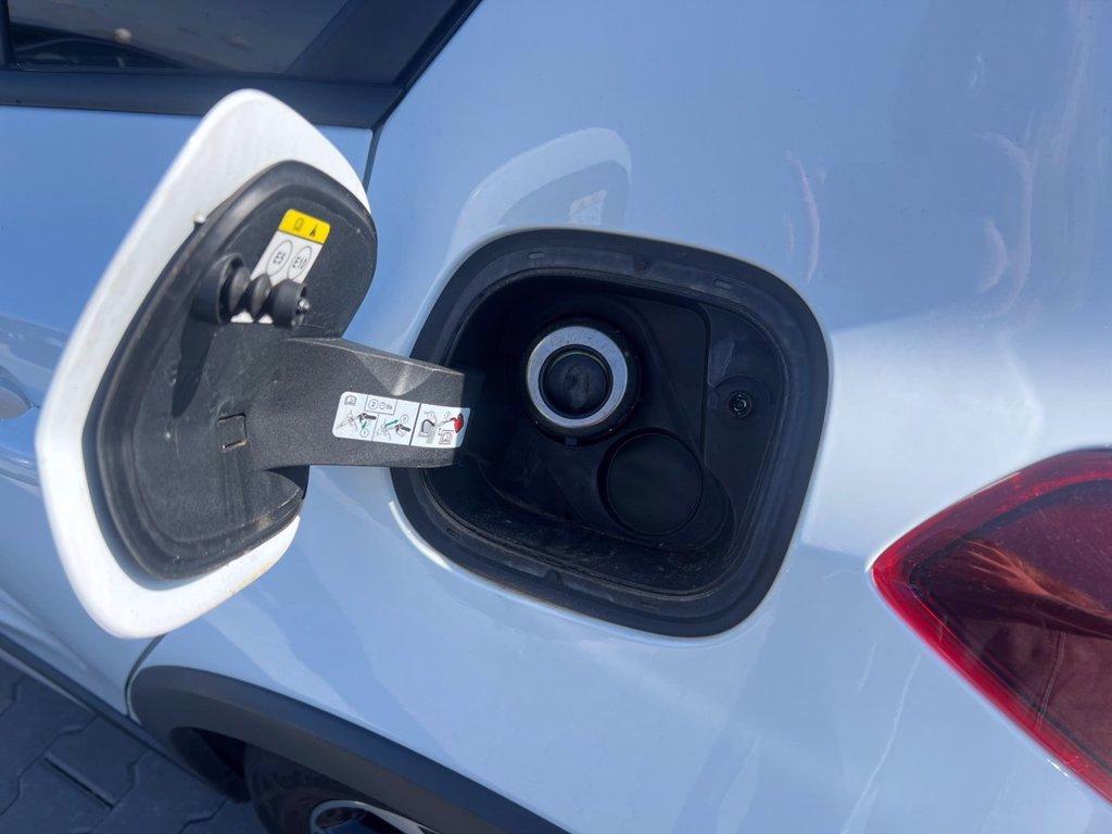 FORD Focus 1.0 EcoBoost Hybrid 125 CV 5p. Active Style del 2023