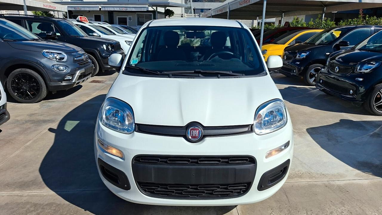 Fiat Panda 1.2 Lounge 2020