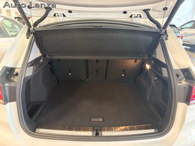 BMW X1 xDrive25e Business Advantage