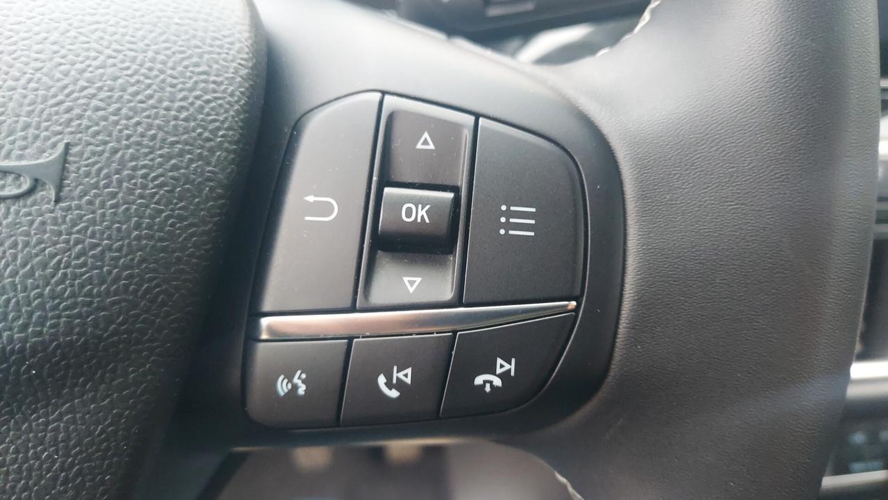 Ford Puma 1.0 EcoBoost Hybrid 125 CV S&S Titanium