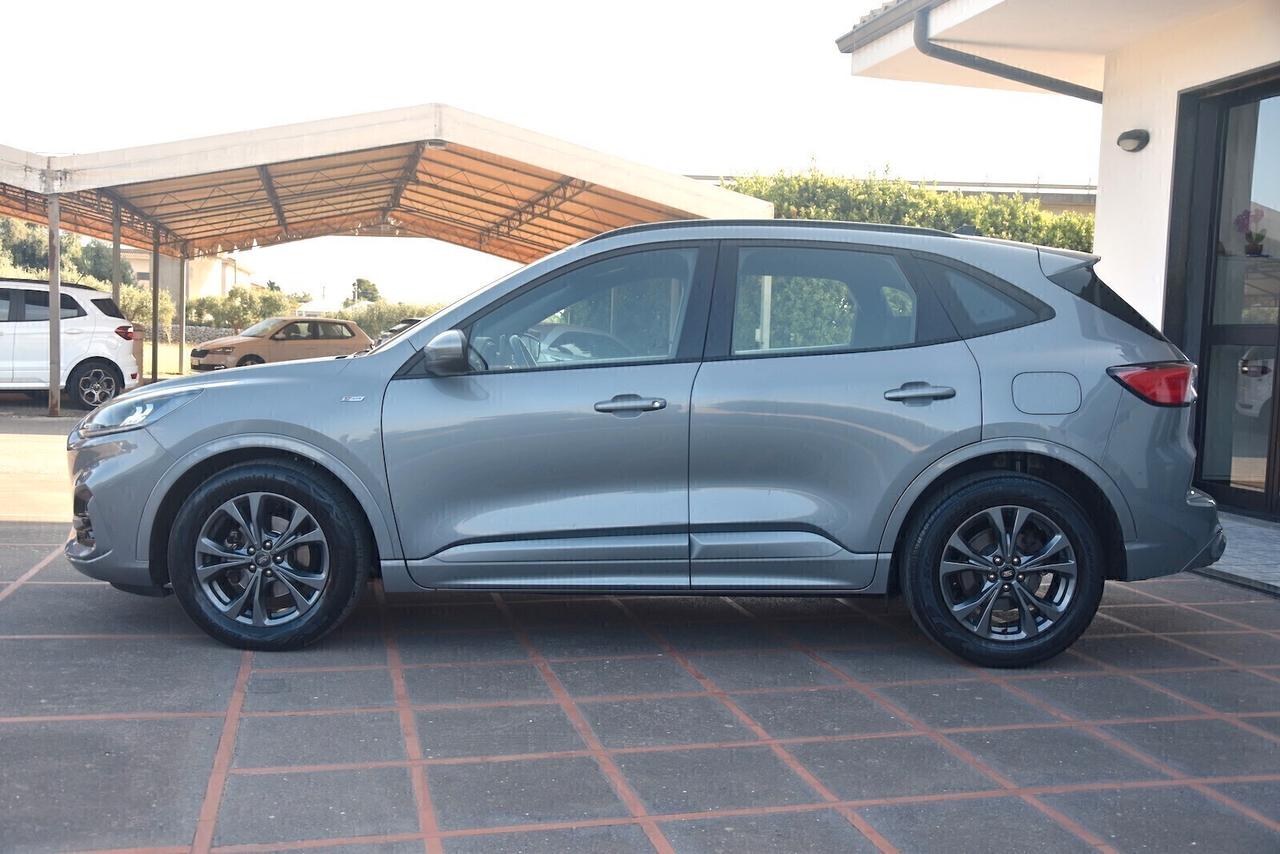 Ford Kuga 2.0 EcoBlue Hybrid 150 CV 2WD ST-Line