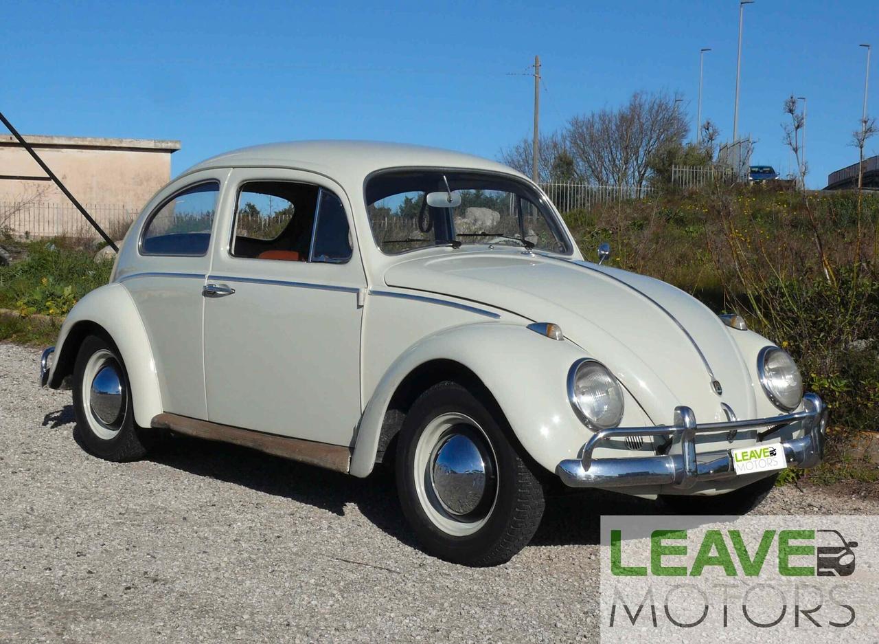 Volkswagen Maggiolino VETRO PIATTO (M1260)