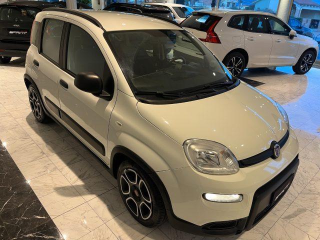 FIAT Panda 1.0 FIREFLY S&S HYBRID 70CV CITY LIFE