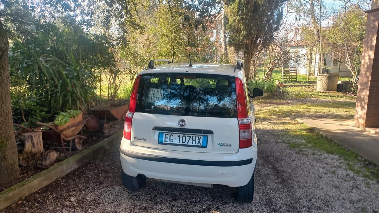 FIAT PANDA 1.400 BENZINA NATURAL POWER SCATTANTE