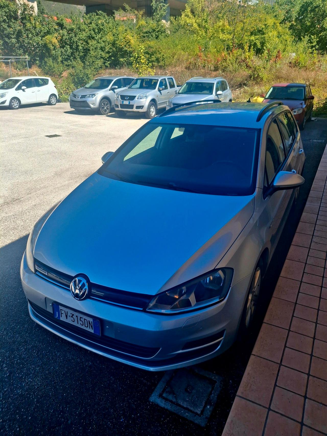 Volkswagen Golf Variant Business 1.6 TDI 5p. Comfortline BlueMotion Technology