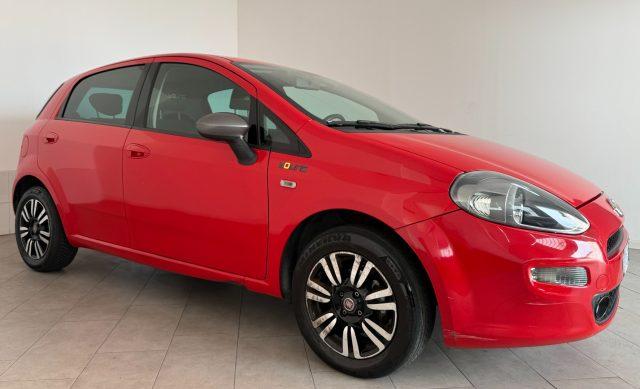 FIAT Punto 1.2 8V 5 porte Lounge