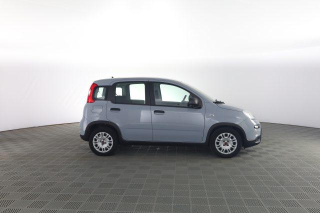 FIAT Panda Panda 1.0 FireFly Hybrid City Life