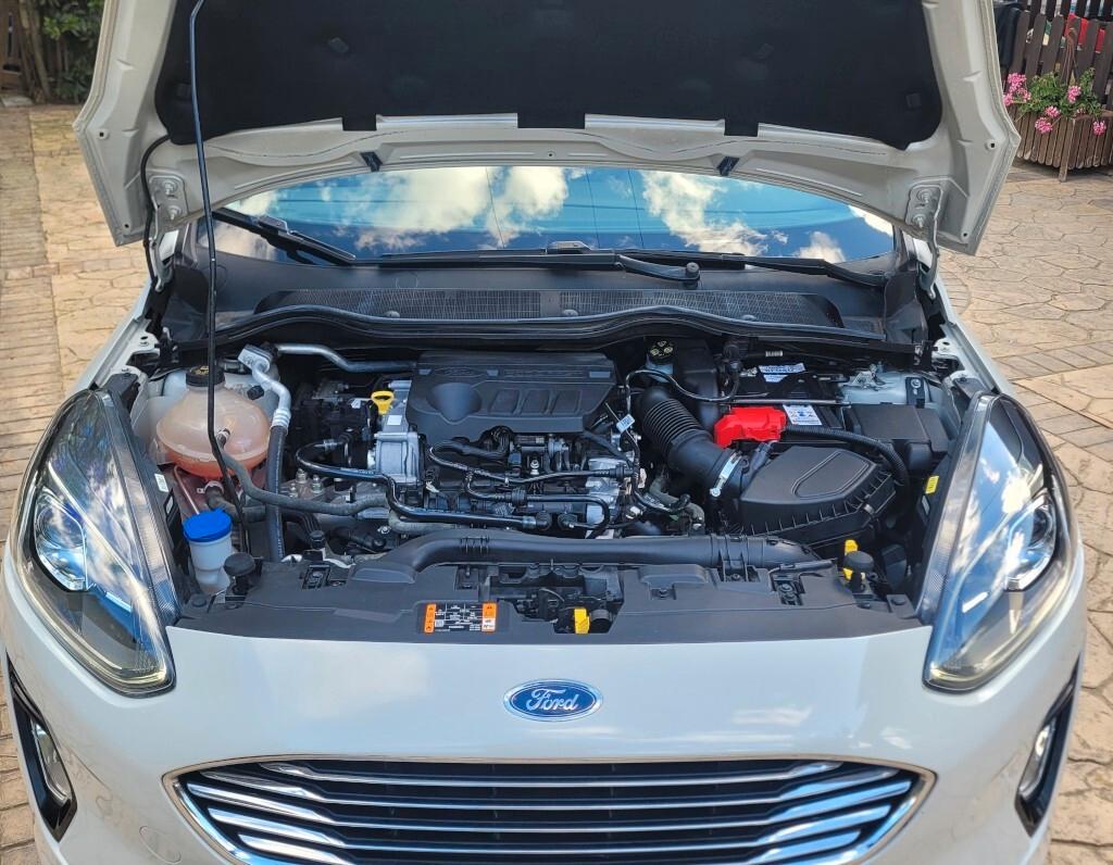 Ford Fiesta 1.0 Ecoboost Hybrid 125 CV 5 porte Titanium