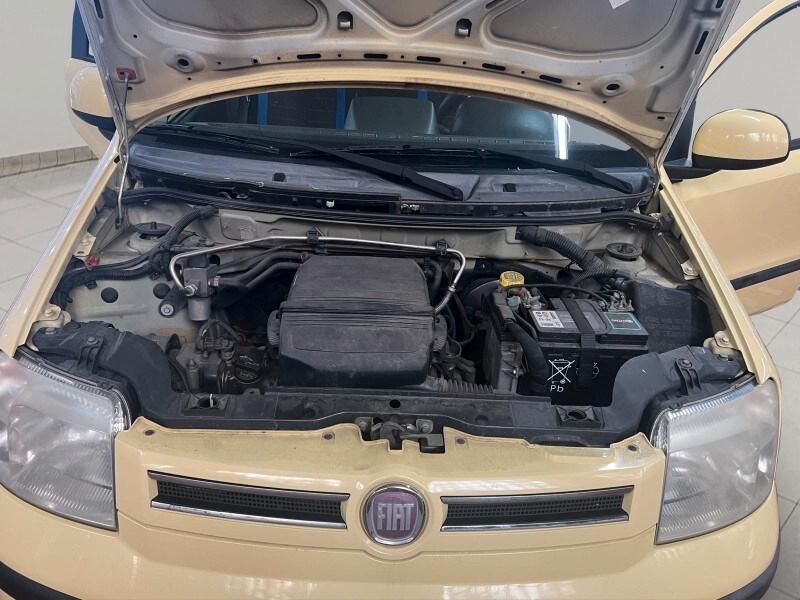 FIAT Panda 2ª serie Panda 1.2 Dynamic Natural ...