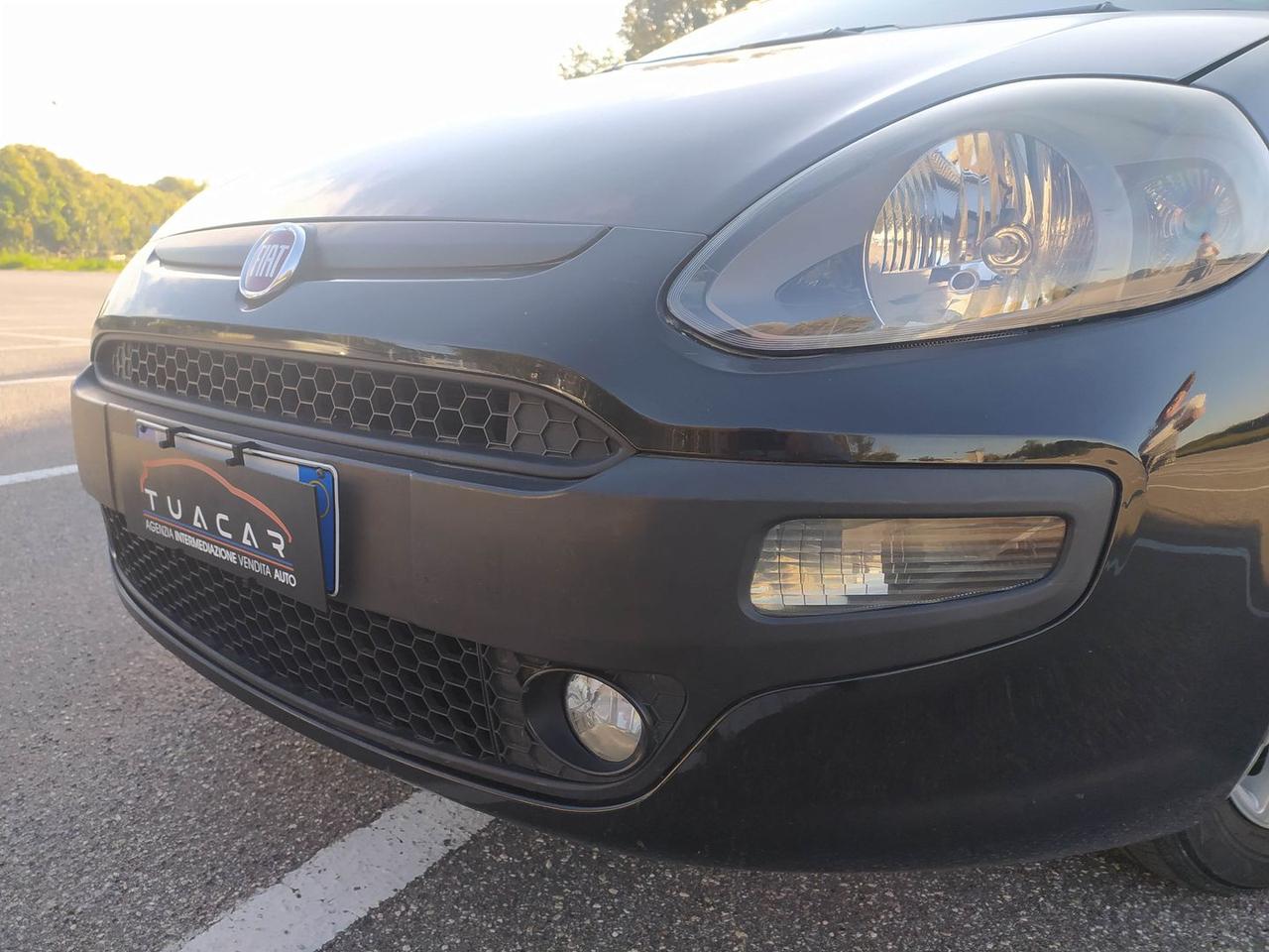 Fiat Punto Lounge 1.2 #7217