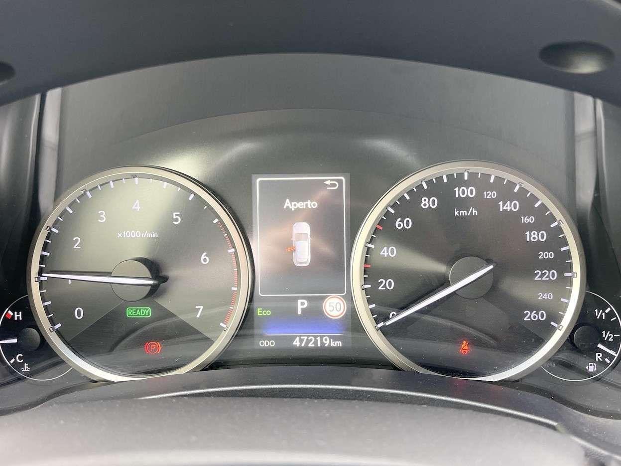Lexus NX 300 300 2.5 Hybrid 155CV 4WD E6 - 2018