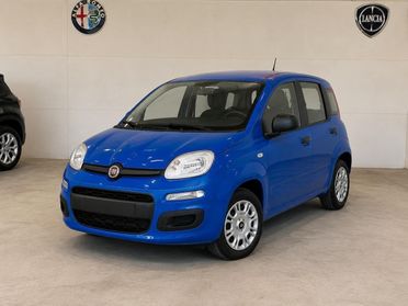 FIAT Pandina III 2024 - Pandina 1.0 firefly hybrid Pop s&s 65cv