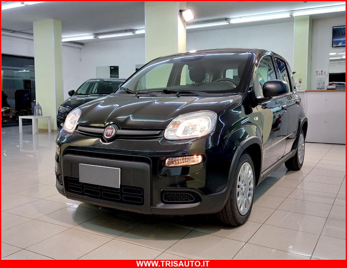 FIAT Panda 1.0 FireFly S&S Hybrid MY24 KM ZERO!!! IVATA NEOPATENTATI