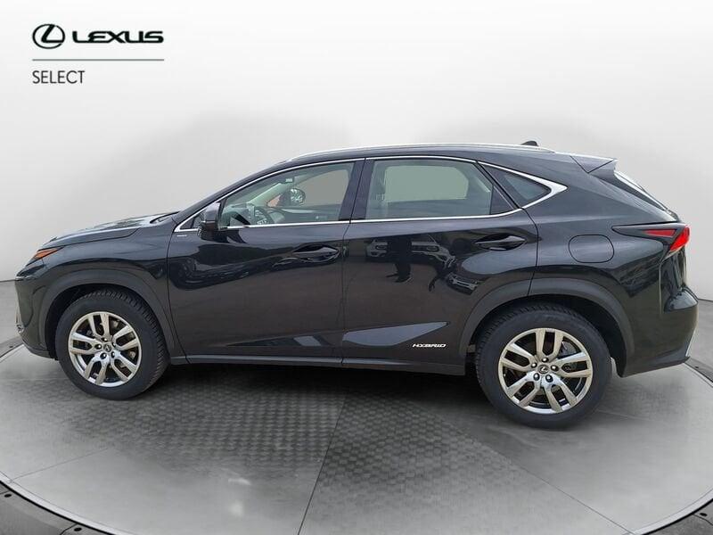 Lexus NX Hybrid 4WD Premium