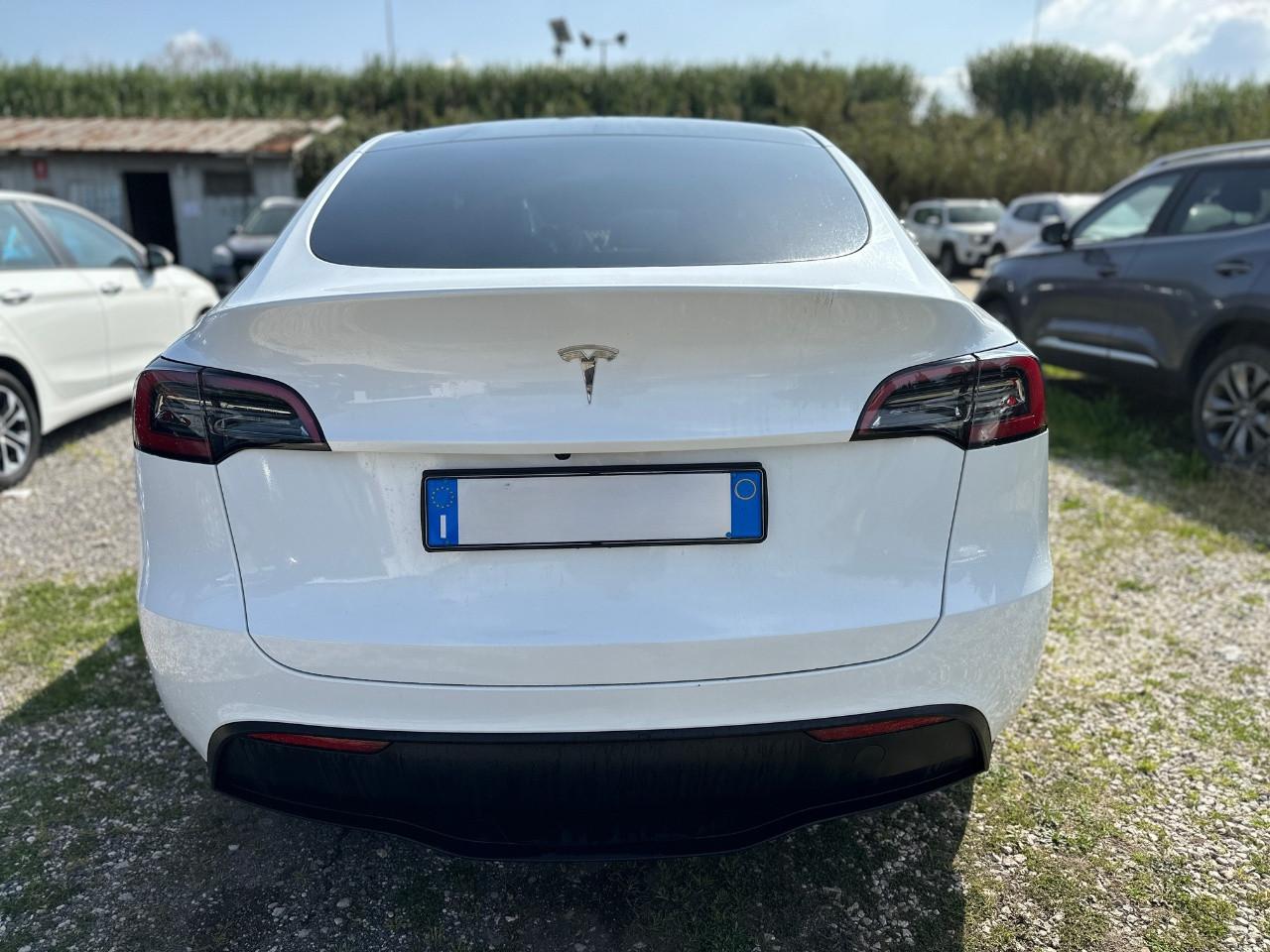 TESLA Model Y 2021 - Model Y Single Motor rwd