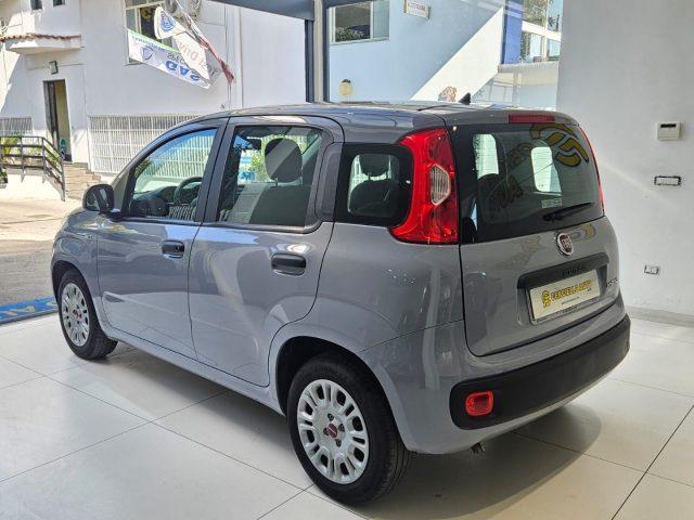 FIAT Panda 1.0 FireFly S&S Hybrid da ?119,00 mensili