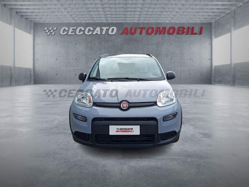 FIAT Panda Panda 1.0 firefly hybrid City Life s&s 70cv 5p.ti