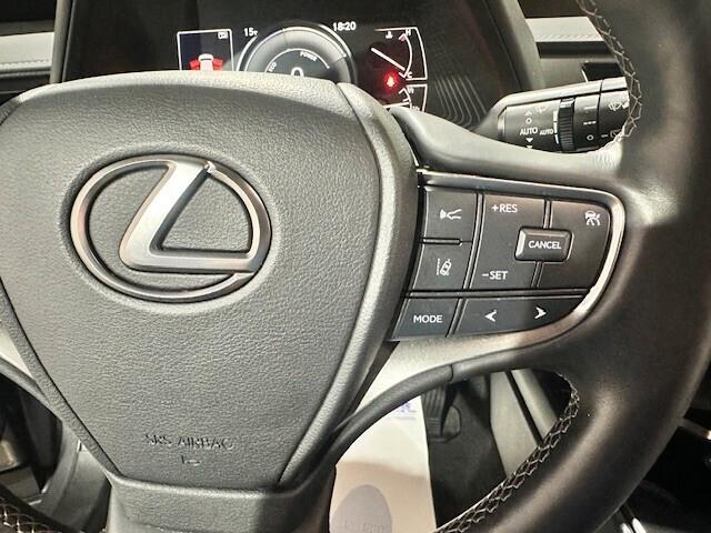 Lexus UX 250h HYBRID BUSINESS 2WD