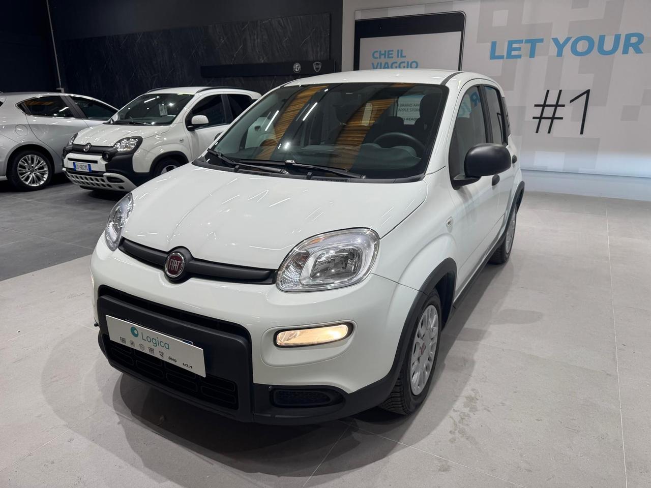 FIAT Panda III 2021 - Panda 1.0 firefly hybrid s&s 70cv 5p.ti