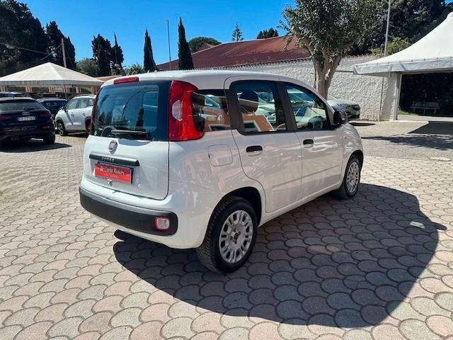 Fiat Panda 1.2 BenzGPL 70CV EasyPower - 2020