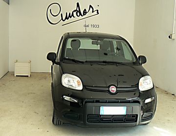 Fiat Panda 1.0 FireFly S&S Hybrid - n101082