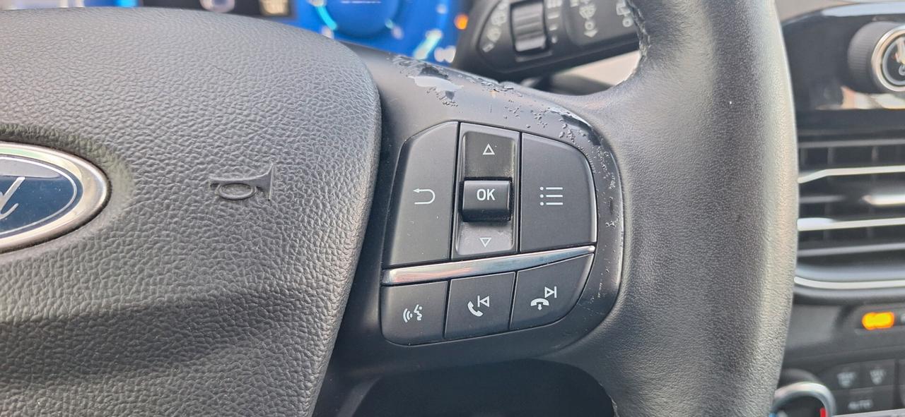 Ford Kuga 2.0 EcoBlue Hybrid 150 CV Titanium C.MANUALE