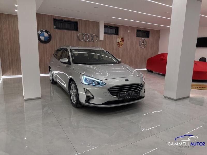 Ford Focus Focus 1.5 EcoBlue 120 CV automatico SW Business Co-Pilot